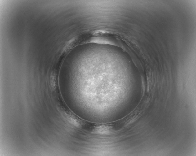 X0000066090708200603101206