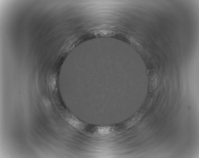 X0000066090709200603101206