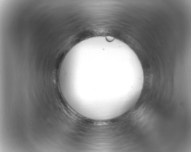 X0000066090710200603101206