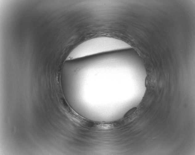 X0000066090711200603101206