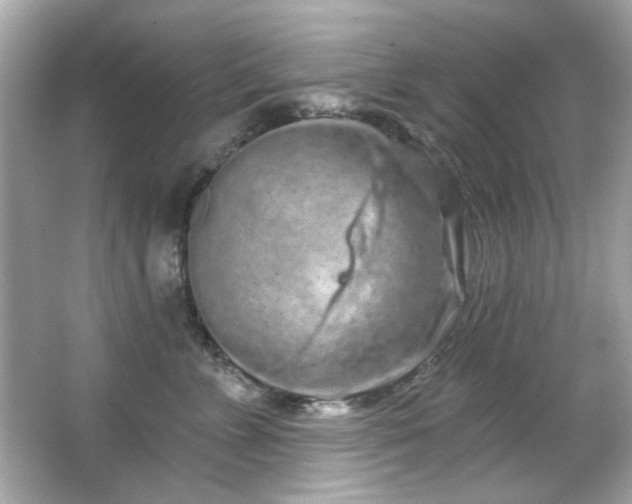 X0000066090715200603101206