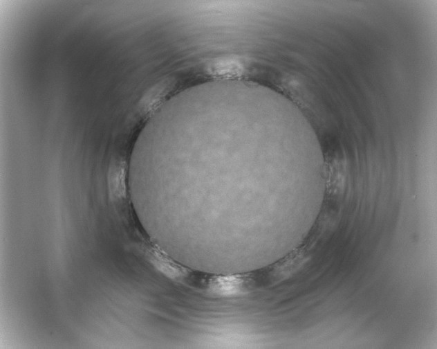 X0000066090717200603101206