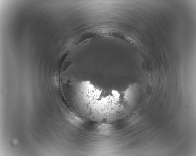 X0000066090718200603101206