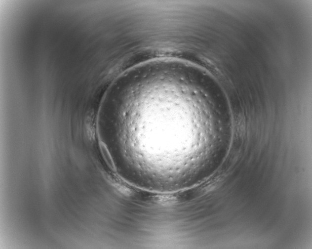 X0000066090719200603101206