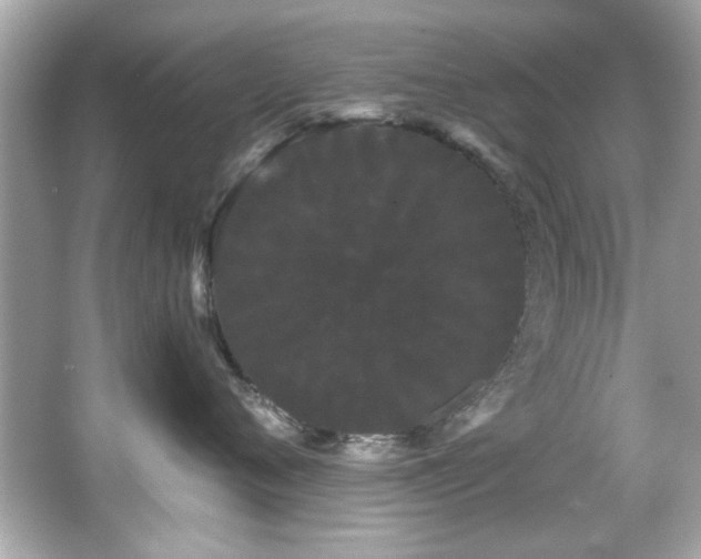 X0000066090720200603101206