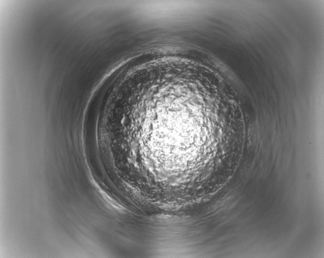 X0000066090722200603101205