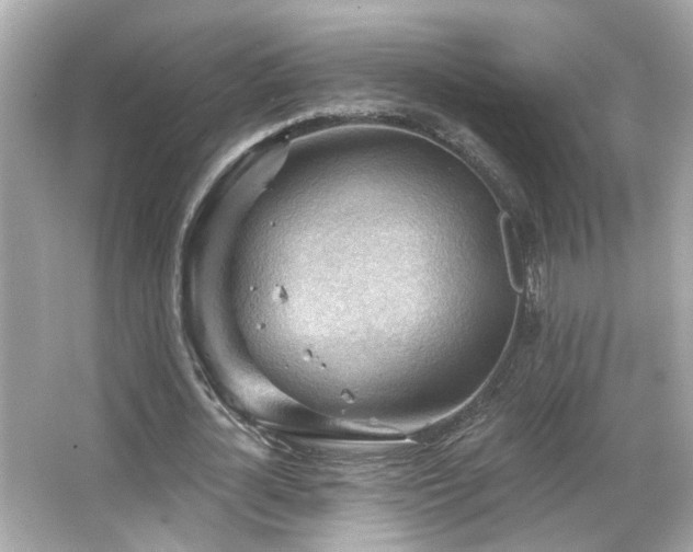 X0000066090724200603101205