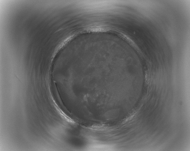 X0000066090725200603101205