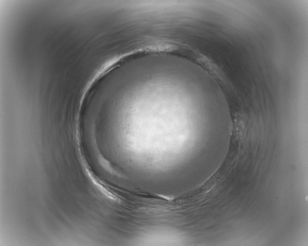 X0000066090726200603101205