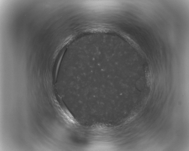 X0000066090729200603101205