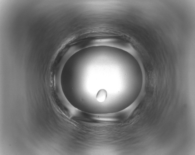 X0000066090731200603101205