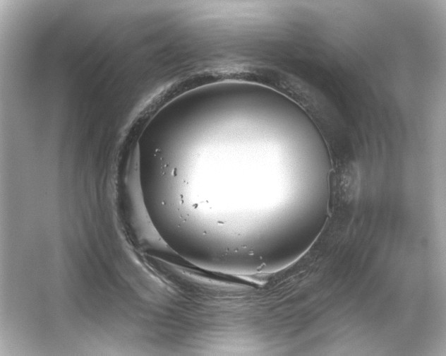 X0000066090732200603101205