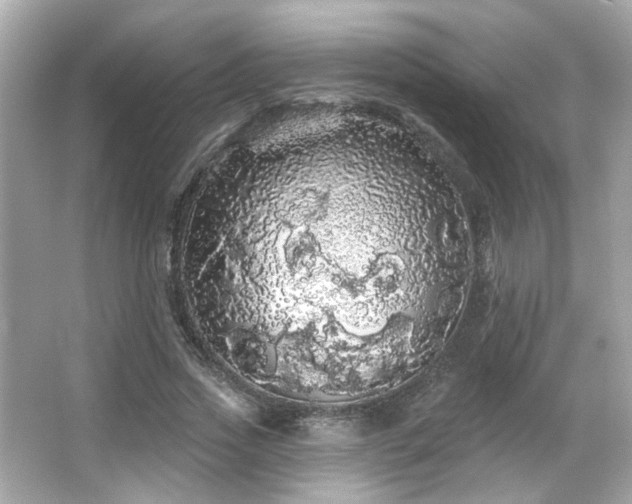 X0000066090733200603101205