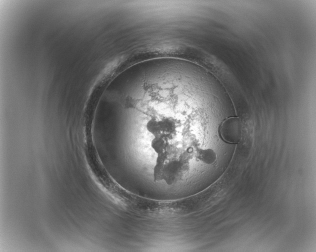 X0000066090734200603101205