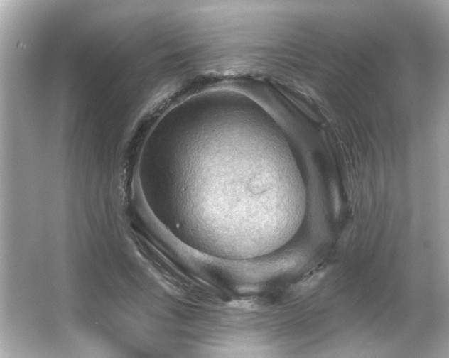 X0000066090735200603101205