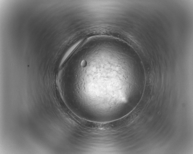 X0000066090737200603101205