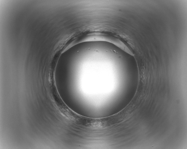 X0000066090740200603101205