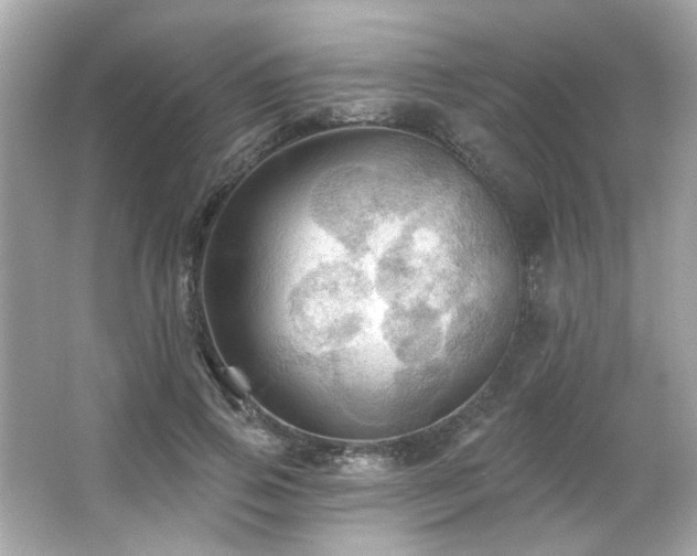 X0000066090741200603101205