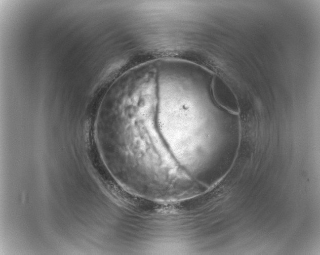 X0000066090742200603101205