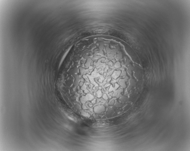 X0000066090745200603101205