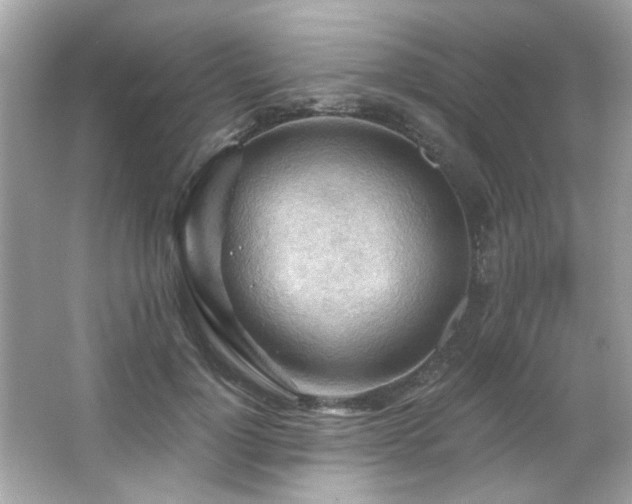 X0000066090748200603101205