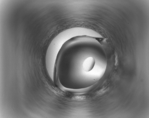 X0000066090750200603101206