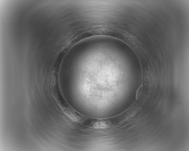 X0000066090751200603101206