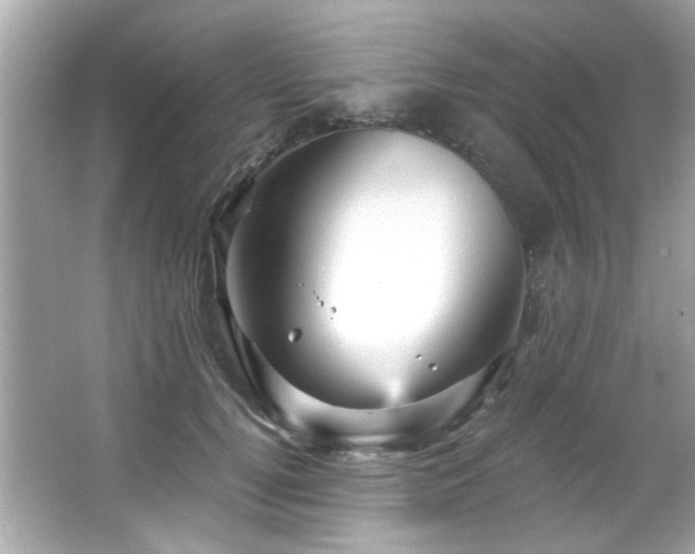 X0000066090752200603101206