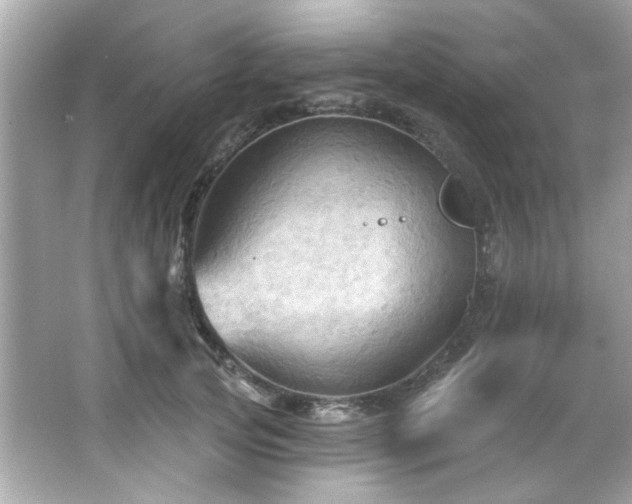 X0000066090753200603101206