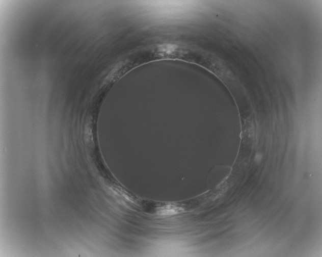 X0000066090754200603101206