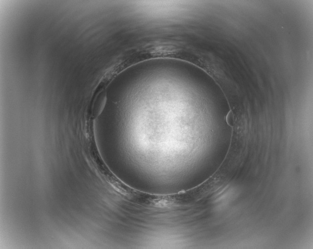 X0000066090755200603101206