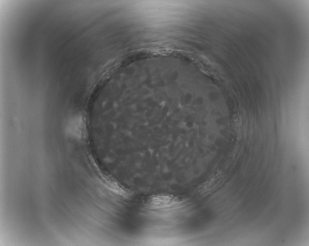 X0000066090757200603101206