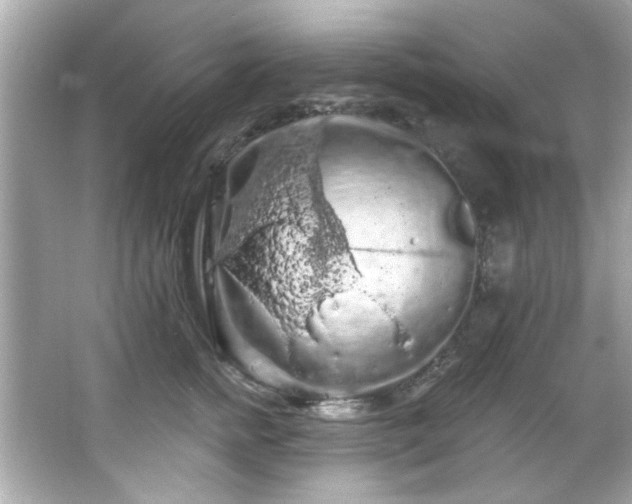 X0000066090758200603101206