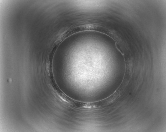 X0000066090760200603101206