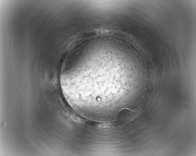 X0000066090761200603101206