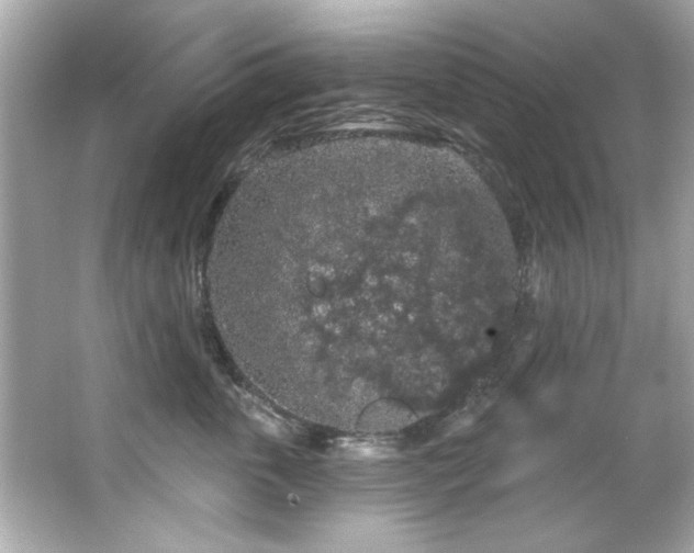 X0000066090763200603101206