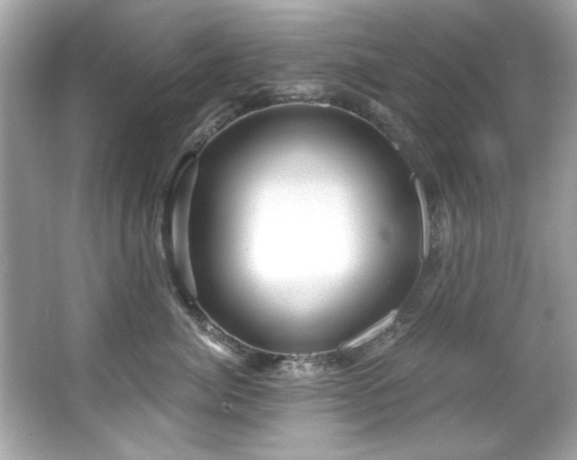 X0000066090764200603101206