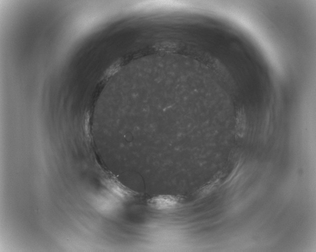 X0000066090765200603101206