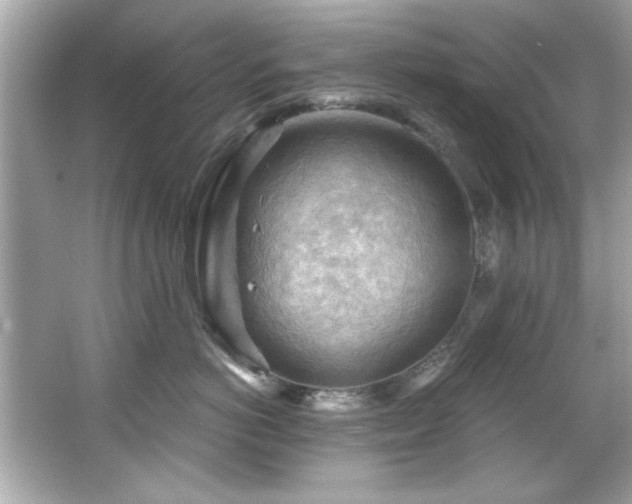 X0000066090766200603101206