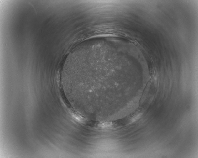 X0000066090767200603101206