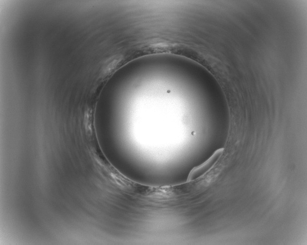 X0000066090768200603101206