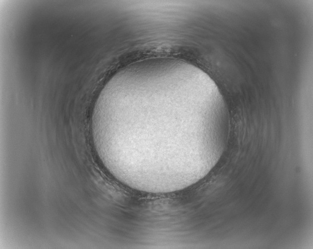 X0000066090769200603101205