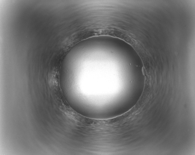 X0000066090770200603101205