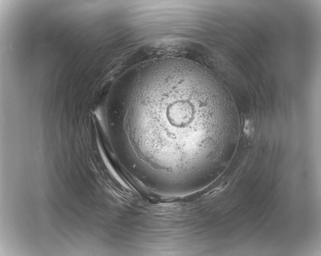 X0000066090771200603101205