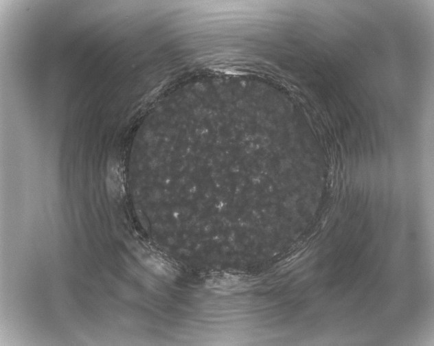 X0000066090772200603101205