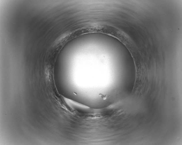 X0000066090773200603101205