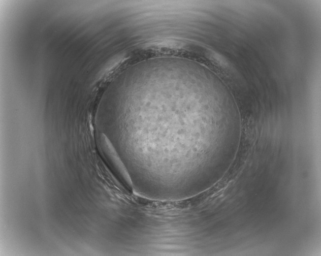 X0000066090774200603101205