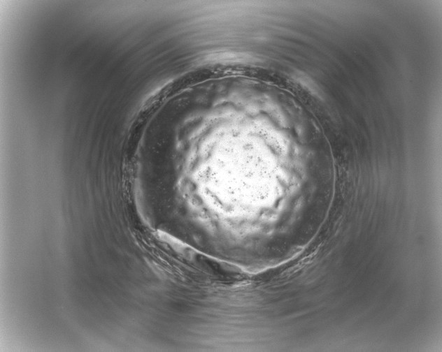 X0000066090775200603101205