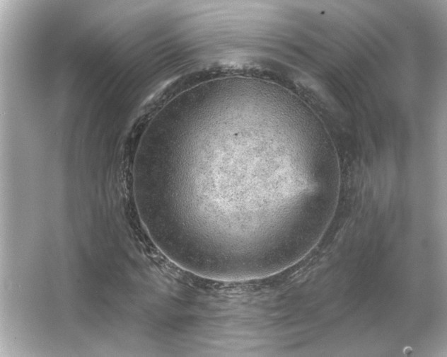 X0000066090776200603101205