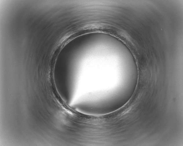 X0000066090778200603101205